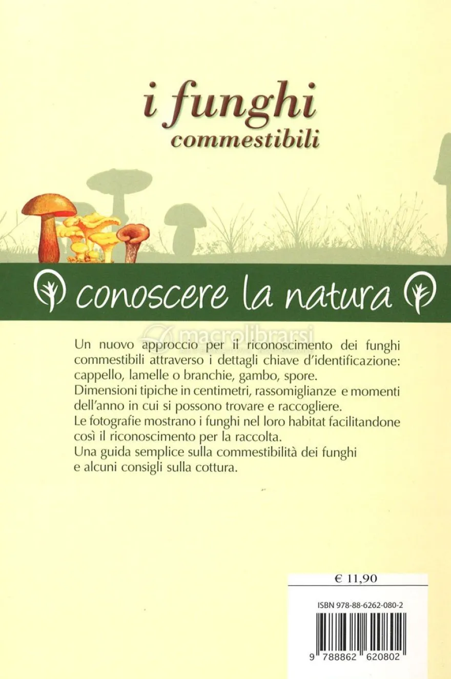 I Funghi Commestibili