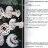 I Funghi dal Vero - Vol. 5