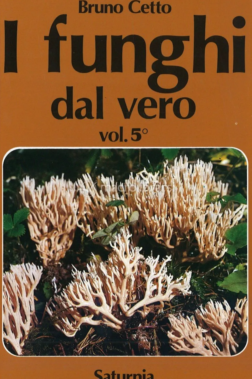I Funghi dal Vero - Vol. 5