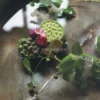 Ikebana