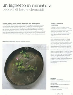 Ikebana