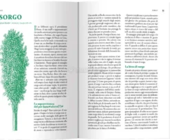 Il Botanico Ubriaco