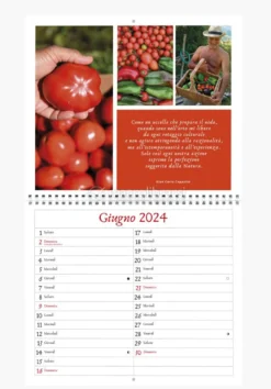 Il Calendario dell'Orticoltura Elementare 2024