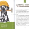 Il Cane un Caleidoscopio di Emozioni