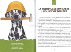 Il Cane un Caleidoscopio di Emozioni