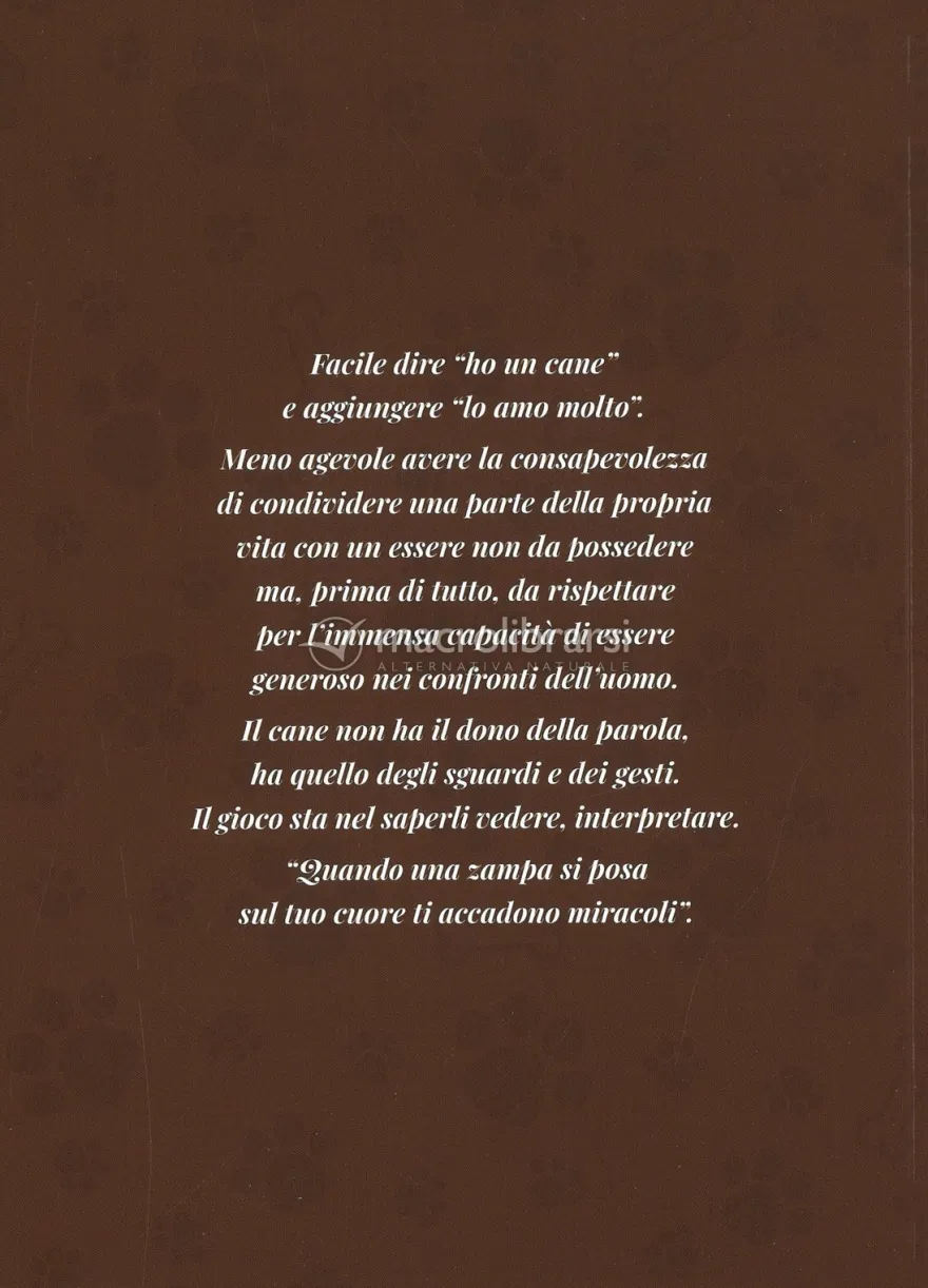 Il Cane un Caleidoscopio di Emozioni