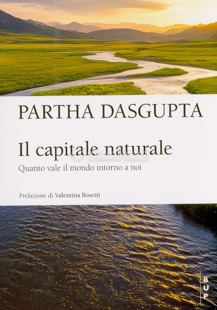 Il Capitale Naturale