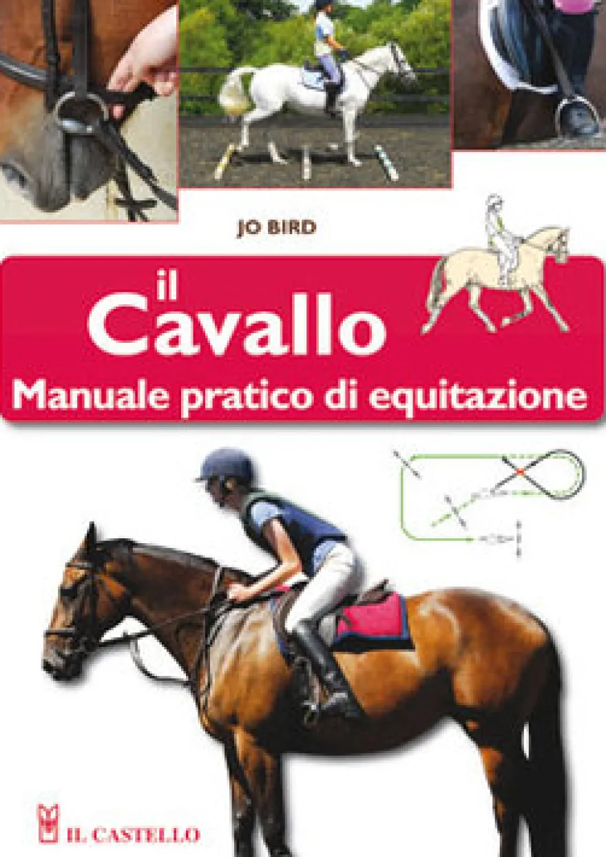 Il Cavallo