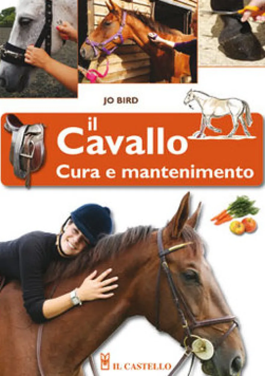 Il Cavallo - Cura e Mantenimento