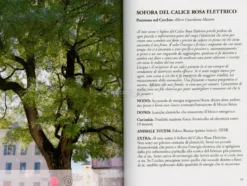 Il Cerchio d'Oro degli Alberi