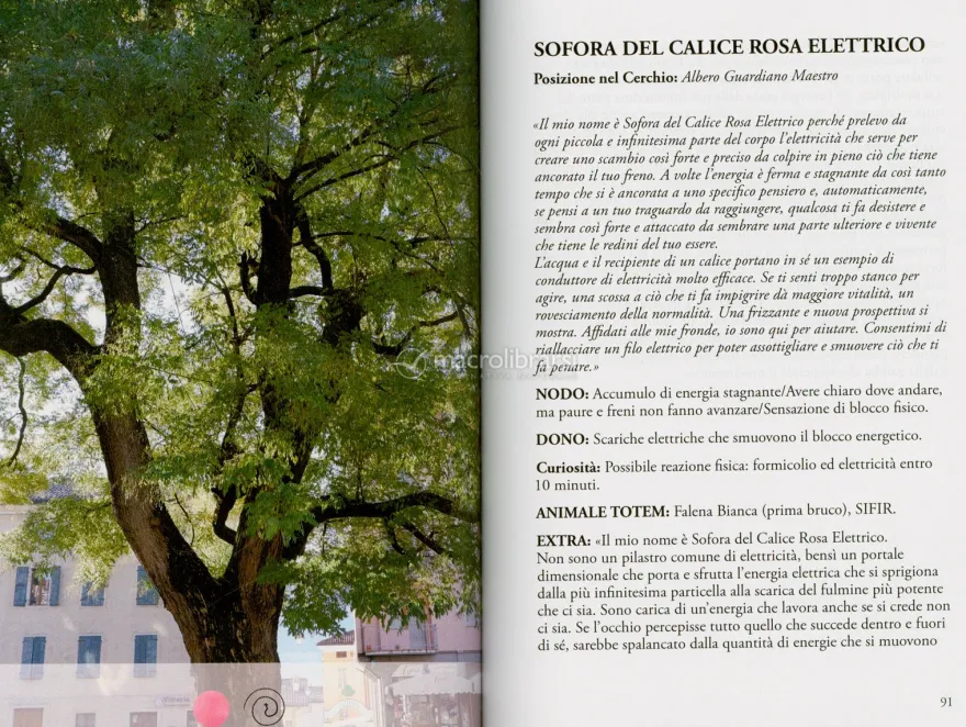 Il Cerchio d'Oro degli Alberi