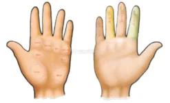 Il Codice Segreto delle Tue Mani
