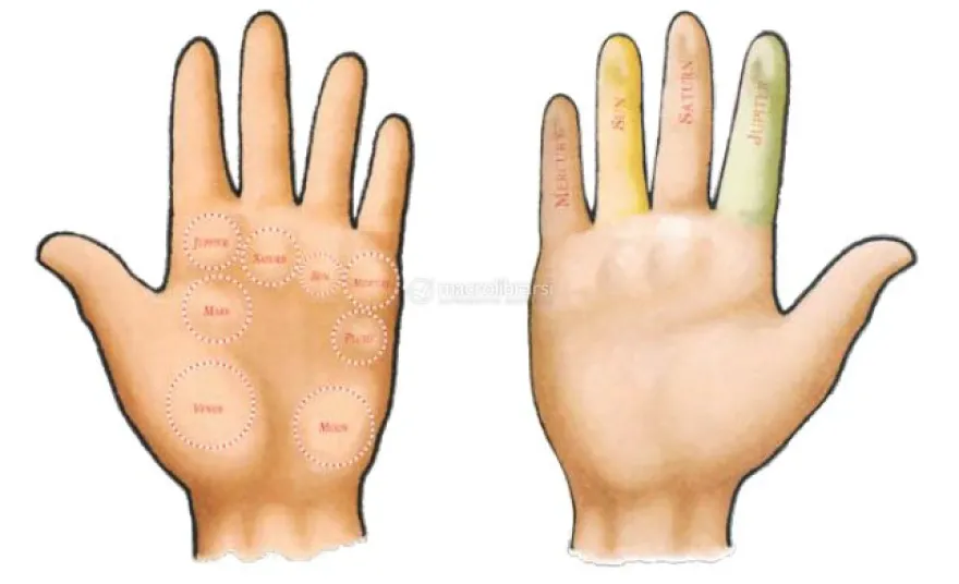 Il Codice Segreto delle Tue Mani