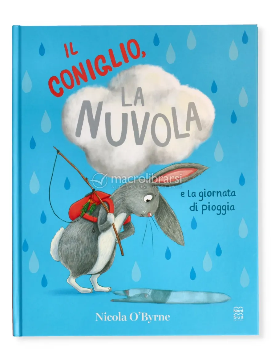 Il Coniglio, la Nuvola e la Giornata di Pioggia