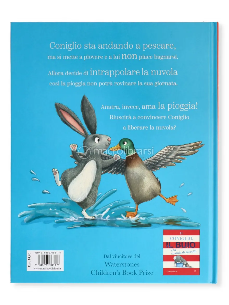 Il Coniglio, la Nuvola e la Giornata di Pioggia