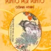Il Corpo Punto per Punto