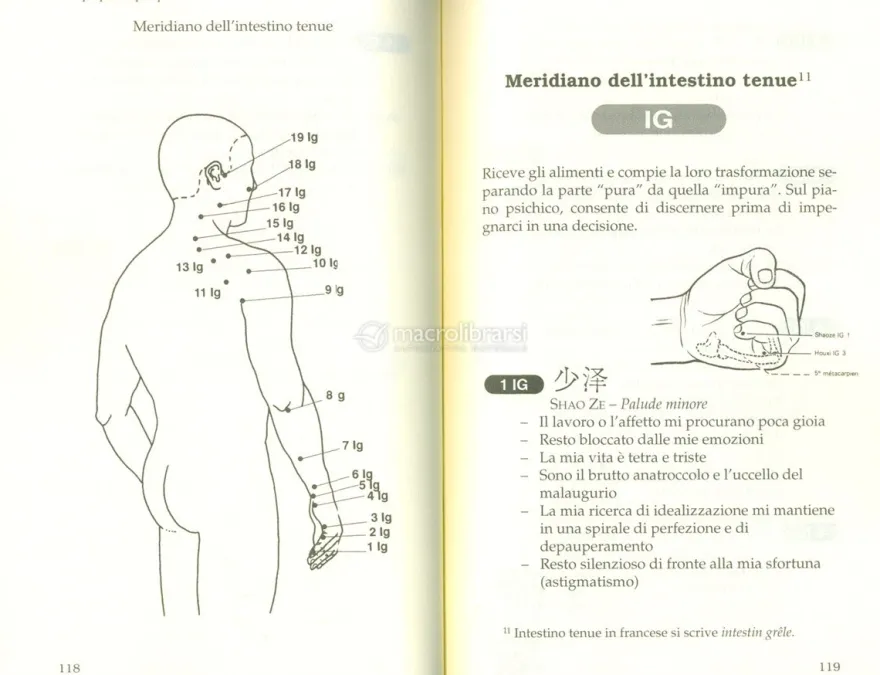 Il Corpo Punto per Punto