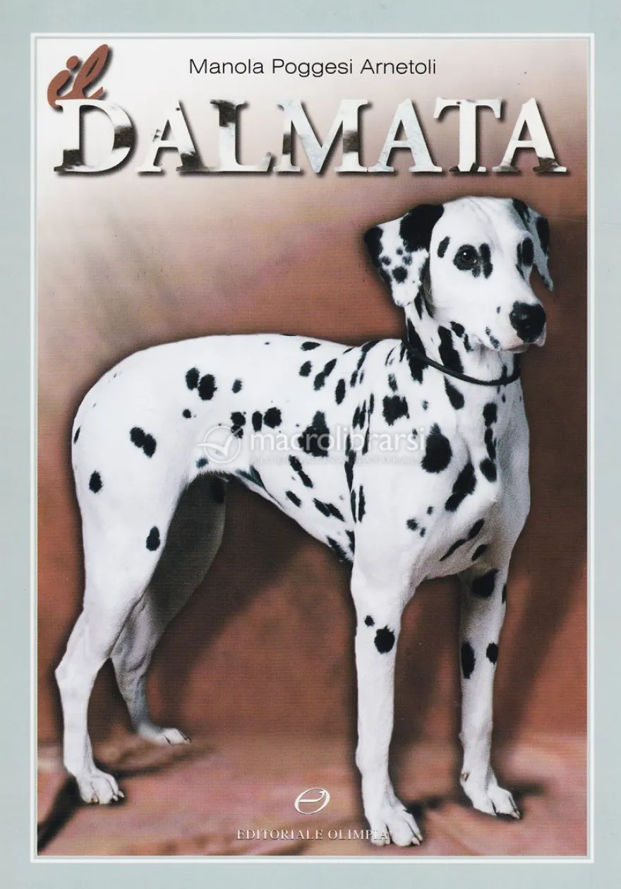 Il Dalmata