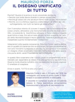 Il Disegno Unificato di Tutto