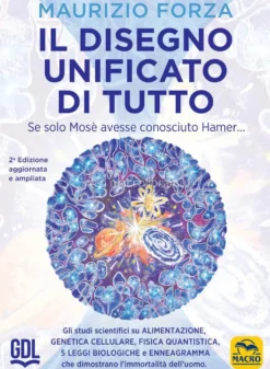 Il Disegno Unificato di Tutto
