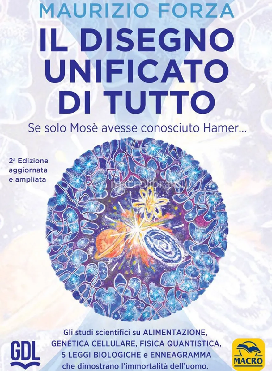 Il Disegno Unificato di Tutto