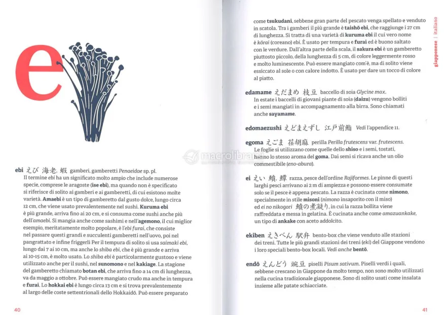 Il Dizionario dei Sapori Giapponesi
