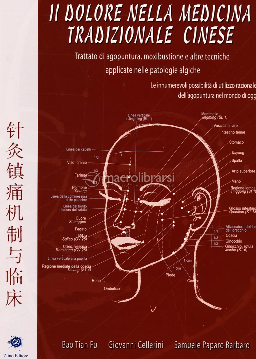 Il Dolore Nella Medicina Tradizionale Cinese