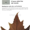 Il Fuoco della Fine del Mondo