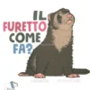 Il Furetto Come Fa?