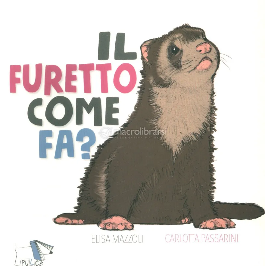 Il Furetto Come Fa?
