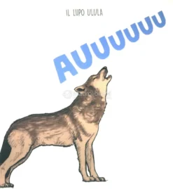 Il Furetto Come Fa?