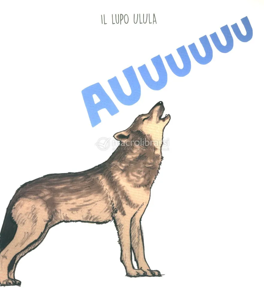 Il Furetto Come Fa?