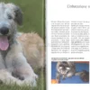 Il Galateo per il Cane