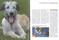 Il Galateo per il Cane