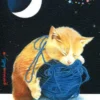 Il Gatto e la Luna - Miniblocco con Calamita