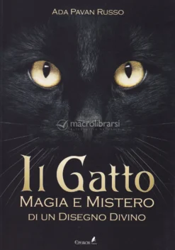 Il Gatto Magia e Mistero di un Disegno Divino