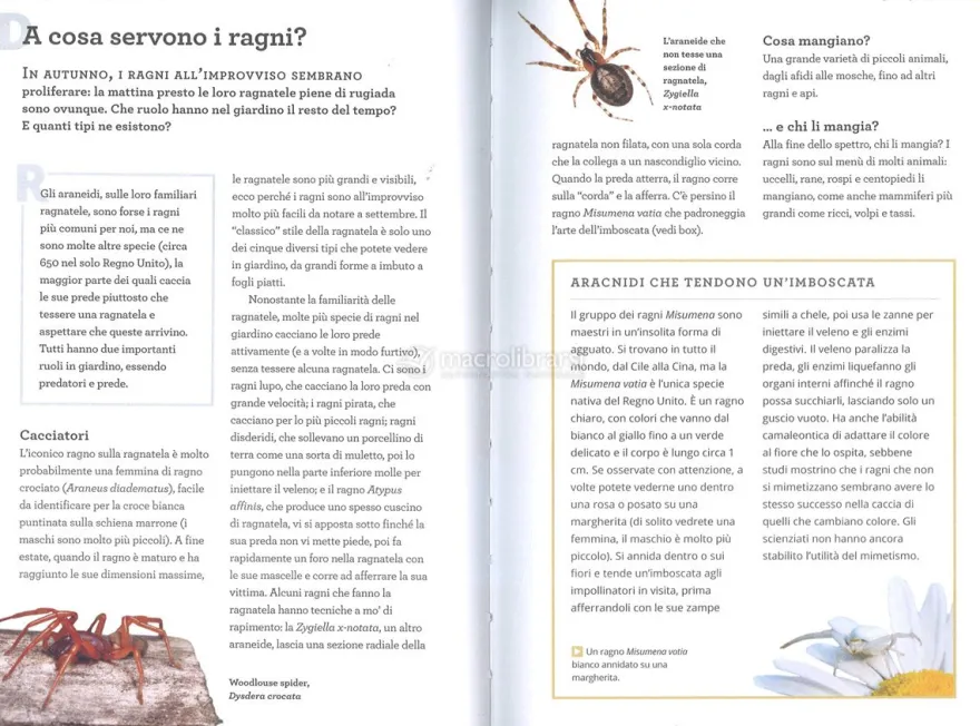 Il Giardiniere Coscienzioso