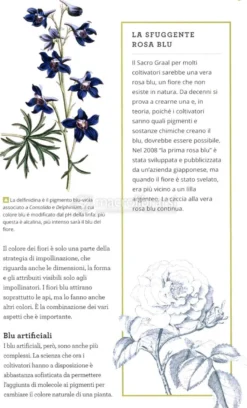 Il Giardiniere Curioso