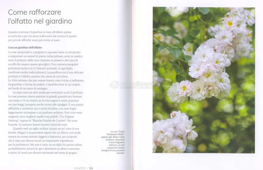 Il Giardino per i Sensi