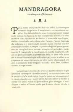 Il Giardino Segreto della Strega