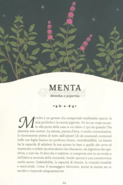 Il Giardino Segreto della Strega