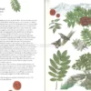 Il Giro del Mondo in 80 Alberi
