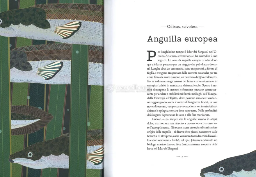 Il Grande Libro degli Animali in Via d'Estinzione