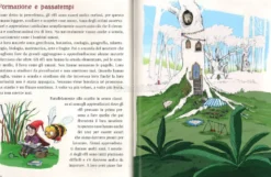 Il Grande Libro degli Elfi