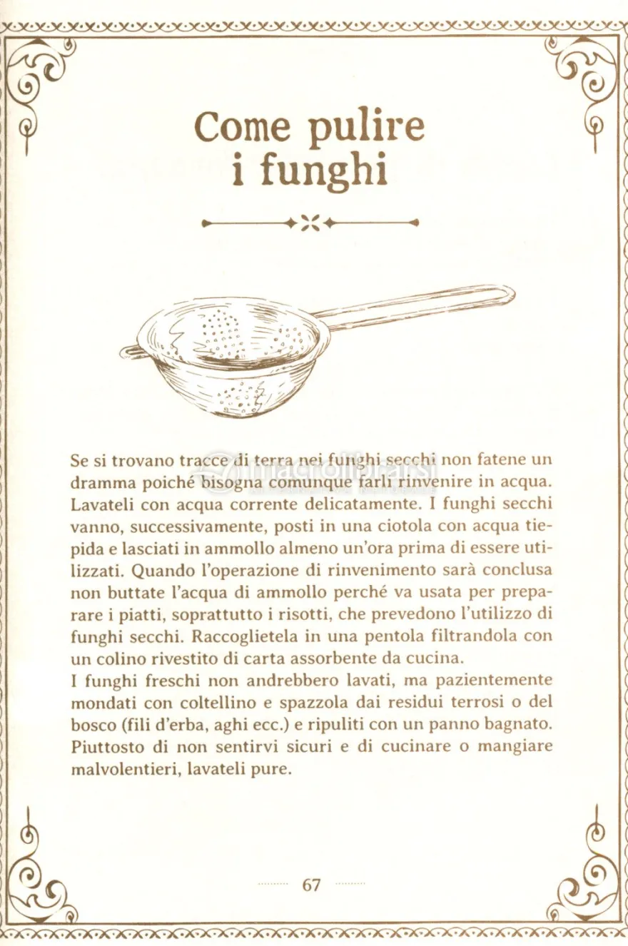 Il Grande Libro dei Funghi