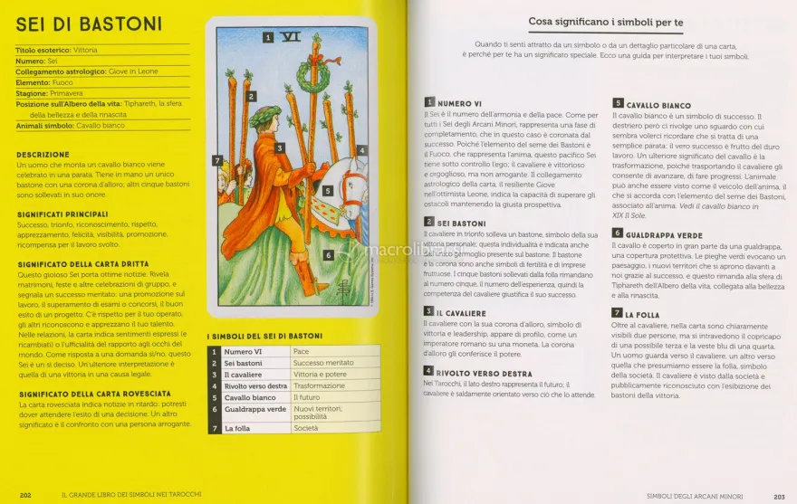 Il Grande Libro dei Simboli nei Tarocchi