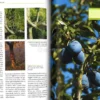Il Grande Libro della Potatura e degli Innesti