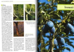 Il Grande Libro della Potatura e degli Innesti