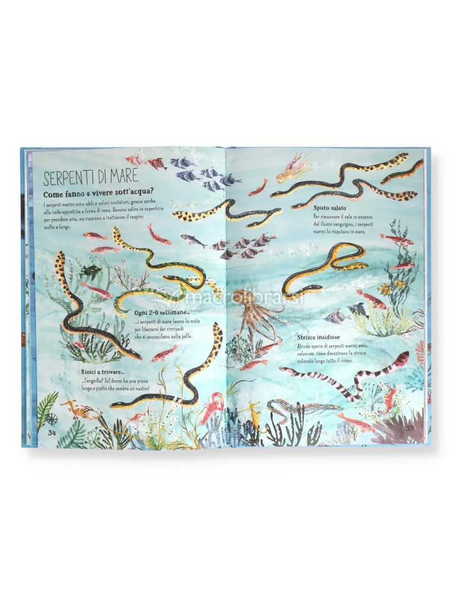Il Grande Libro del Mare
