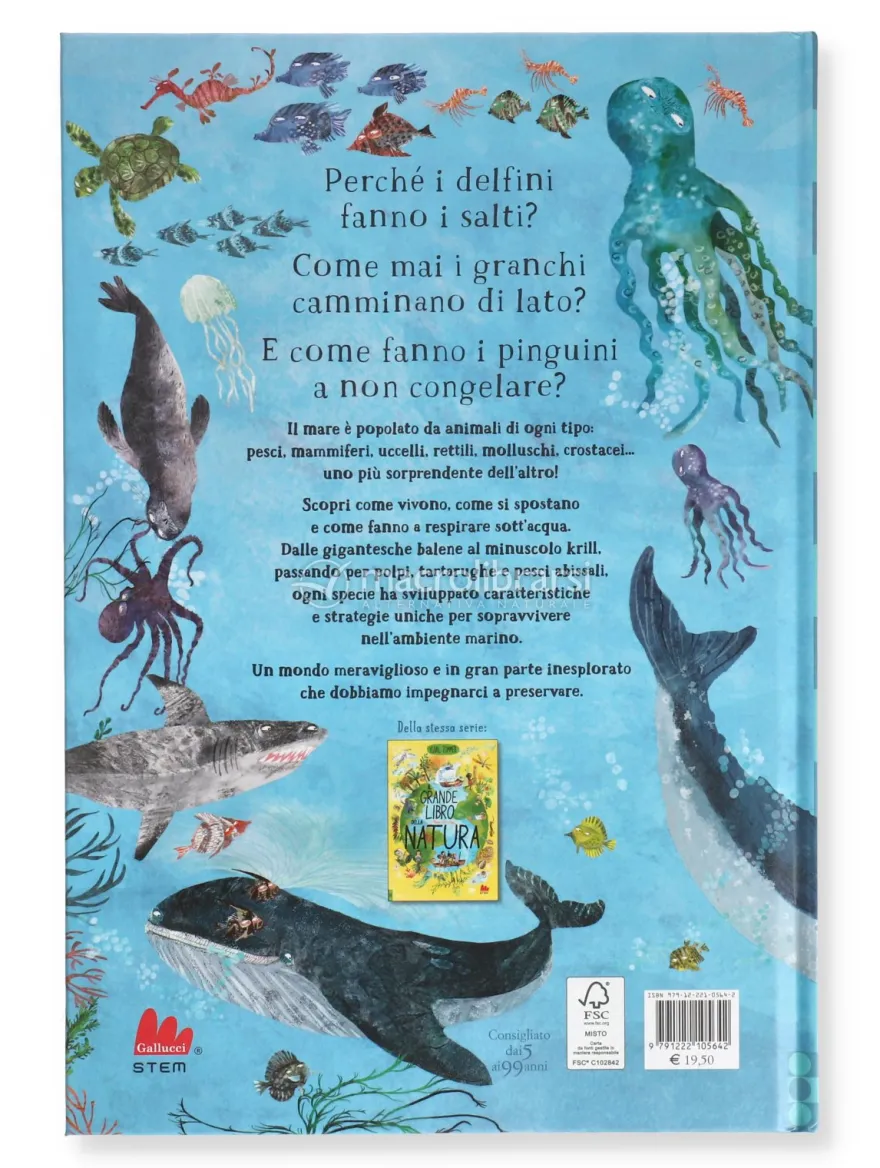 Il Grande Libro del Mare